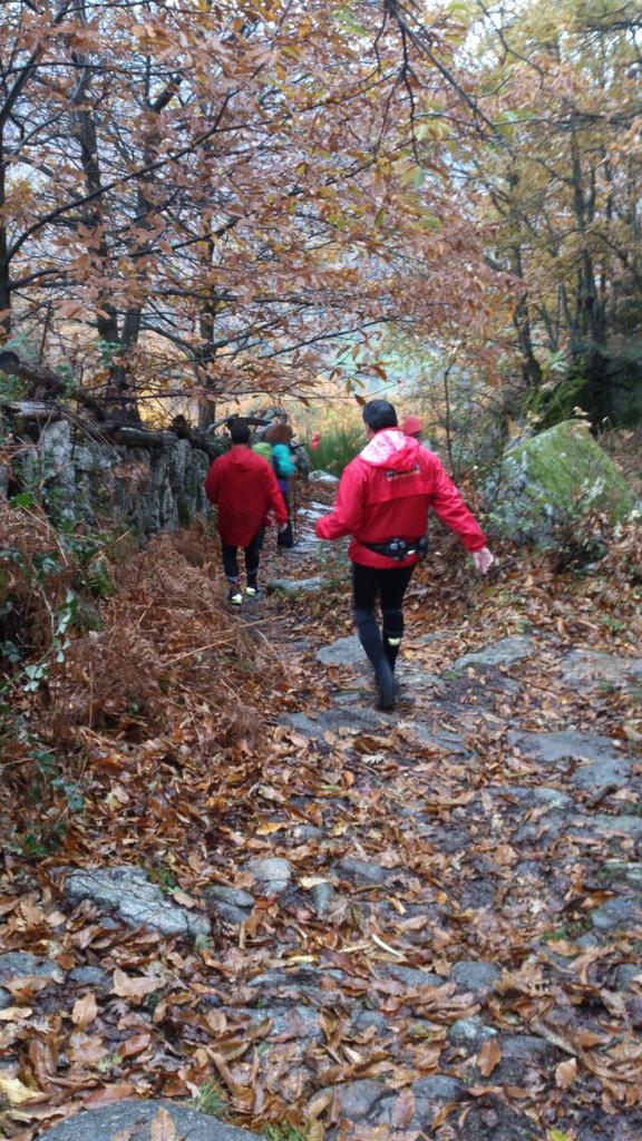 Turiex's tweet photo. Hoy @Turiex participa en la XVI MARCHA SENDERISTA "BOSQUES DEL AMBROZ"  #NoPodiamosFallar @valleambroz http://t.co/YNHGmiD3wO