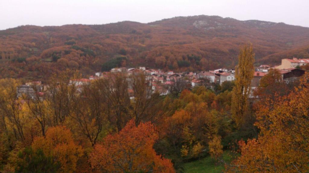 Turiex's tweet photo. Hoy @Turiex participa en la XVI MARCHA SENDERISTA "BOSQUES DEL AMBROZ"  #NoPodiamosFallar @valleambroz http://t.co/YNHGmiD3wO