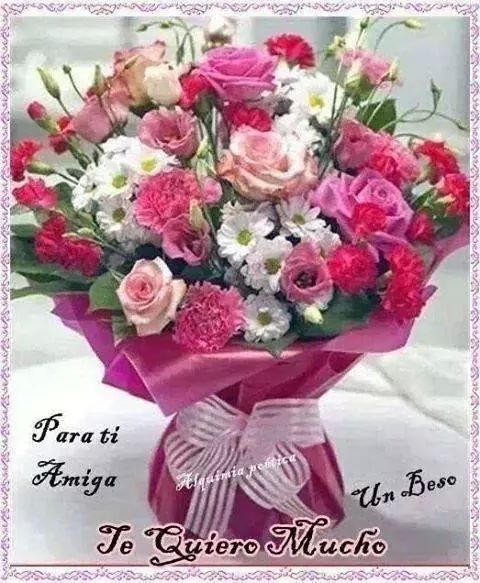 amaya36's tweet photo. http://t.co/zvjXtZSgc8