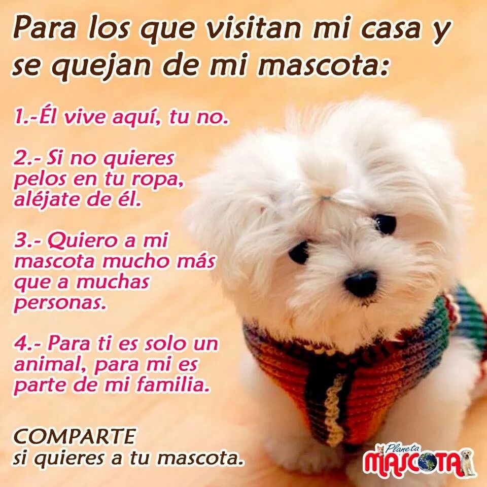 jluisusero's tweet image. En mi casa esto es lo k hay si no te gusta no vengas