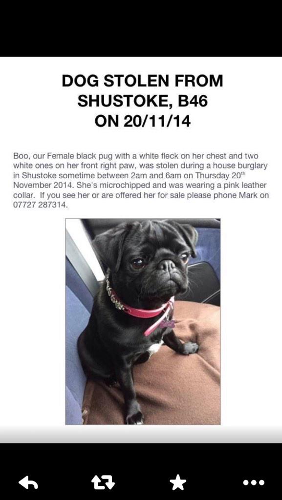 clairec26's tweet photo. @ollielocke please retweet and #getboohome http://t.co/tgnLFl9hhJ