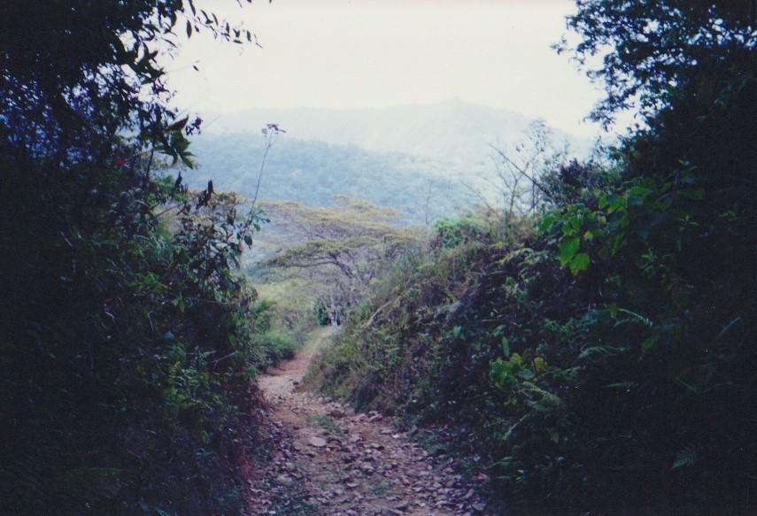 plus_pm's tweet image. #CerroAzul #Panamá #Propiedadenventa excelente inversión para #forestación #ecoturismo plus-pm@hotmail.com