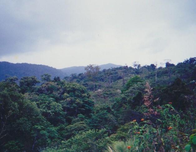 plus_pm's tweet image. #CerroAzul #Panamá #Propiedadenventa excelente inversión para #forestación #ecoturismo plus-pm@hotmail.com