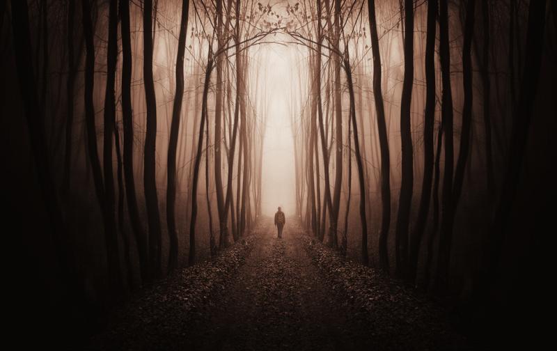 jedeleh's tweet photo. The Scary Girls are coming. 
Before they arrive, read 
WAKING DREAMS
http://t.co/pZ8sfS3INN   
#ASMSG
#indie
#99cents http://t.co/xBw9Aeohcv