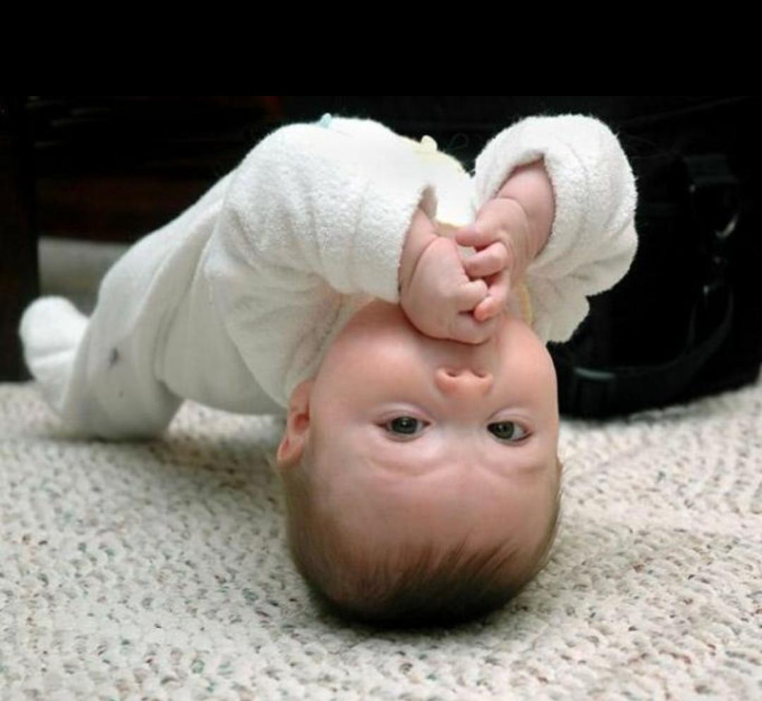 pandoragandhi's tweet photo. -kanka seninki geliyo
+oha napicam?
-doğal davran http://t.co/cDVrYrqL7v