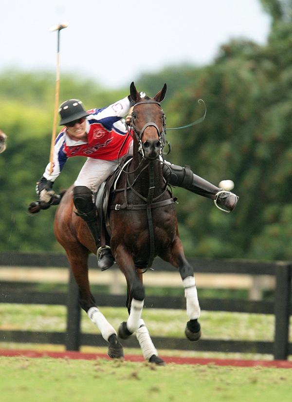 GrandChampions_ tweet picture