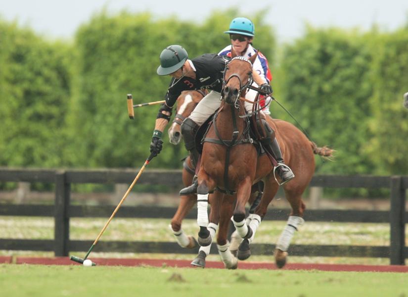 GrandChampions_ tweet picture