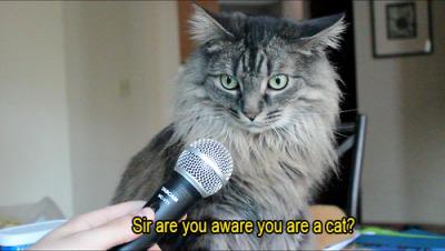 ItsBaeFeelings's tweet image. Omg 😹