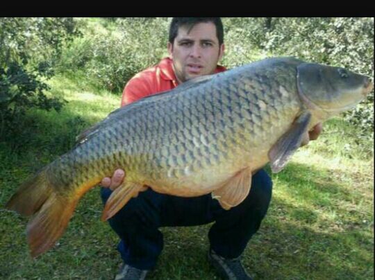 PMancha's tweet photo. @LauraDeRe @SeccionAtrio oye laura...yo hablo con inquiba que tengo mano allí!!! La quieres así o más grande? http://t.co/cTkpxKYDfl
