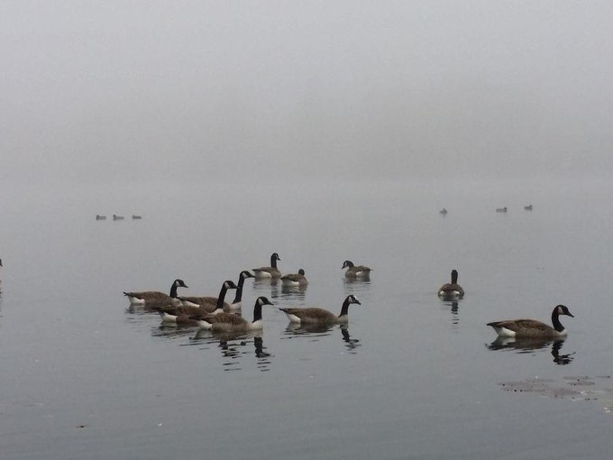 D&iacute;a de frio en #Alemannia #wiesensee pasito por el lago @coraljoice @amandaxes @salmadnora @babydenora<a href="/tag/alemannia"class="tags">#Alemannia</a><a href="/tag/wiesensee"class="tags">#wiesensee</a>