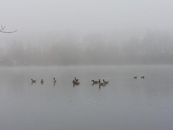 D&iacute;a de frio en #Alemannia #wiesensee pasito por el lago @coraljoice @amandaxes @salmadnora @babydenora<a href="/tag/alemannia"class="tags">#Alemannia</a><a href="/tag/wiesensee"class="tags">#wiesensee</a>