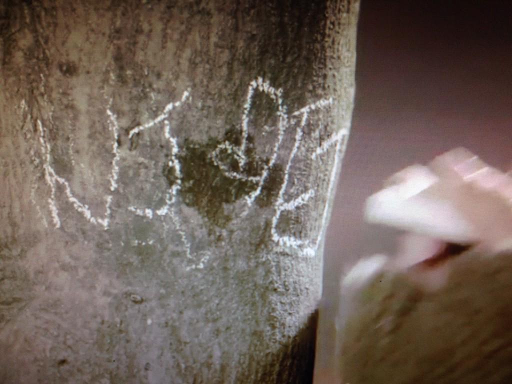 B3It1qeCQAA8PZZ.jpg:large