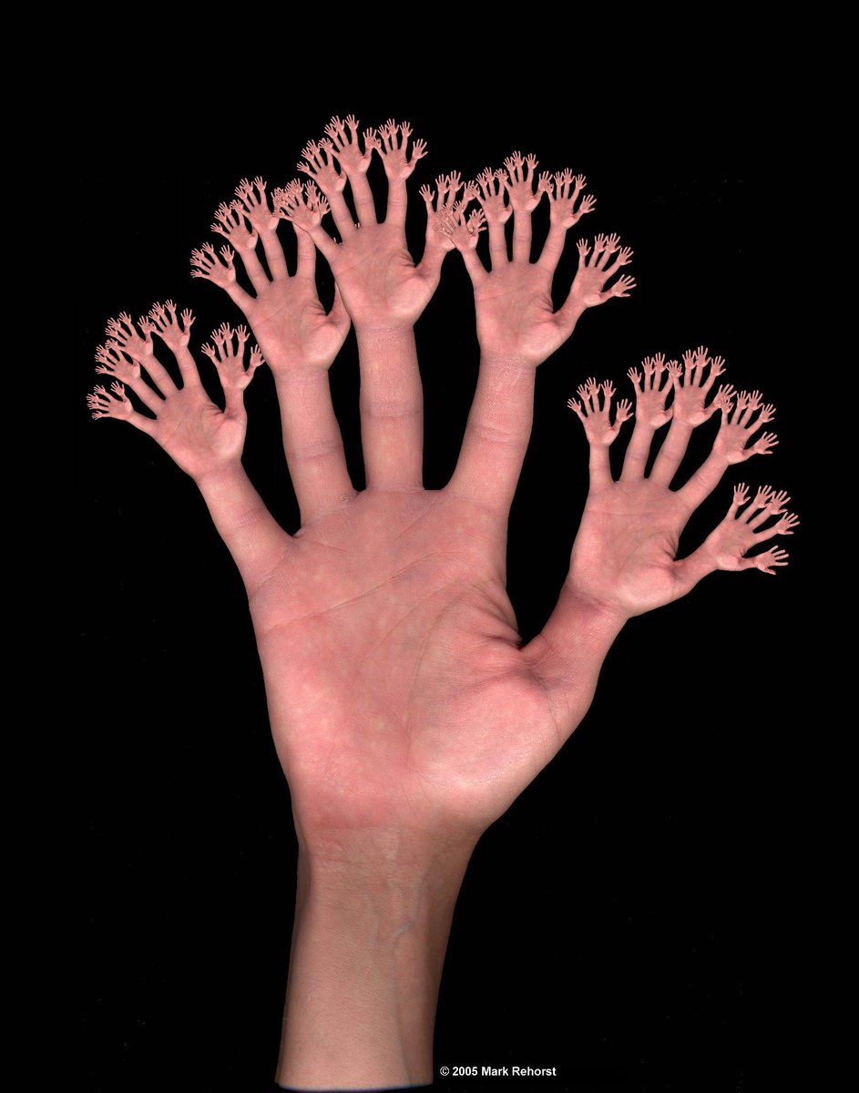 TrinityMathsDpt's tweet photo. @Retrinity here's a fractal that would be helpful for counting up to infinity - on your fingers! http://t.co/lL6O7JJkUH