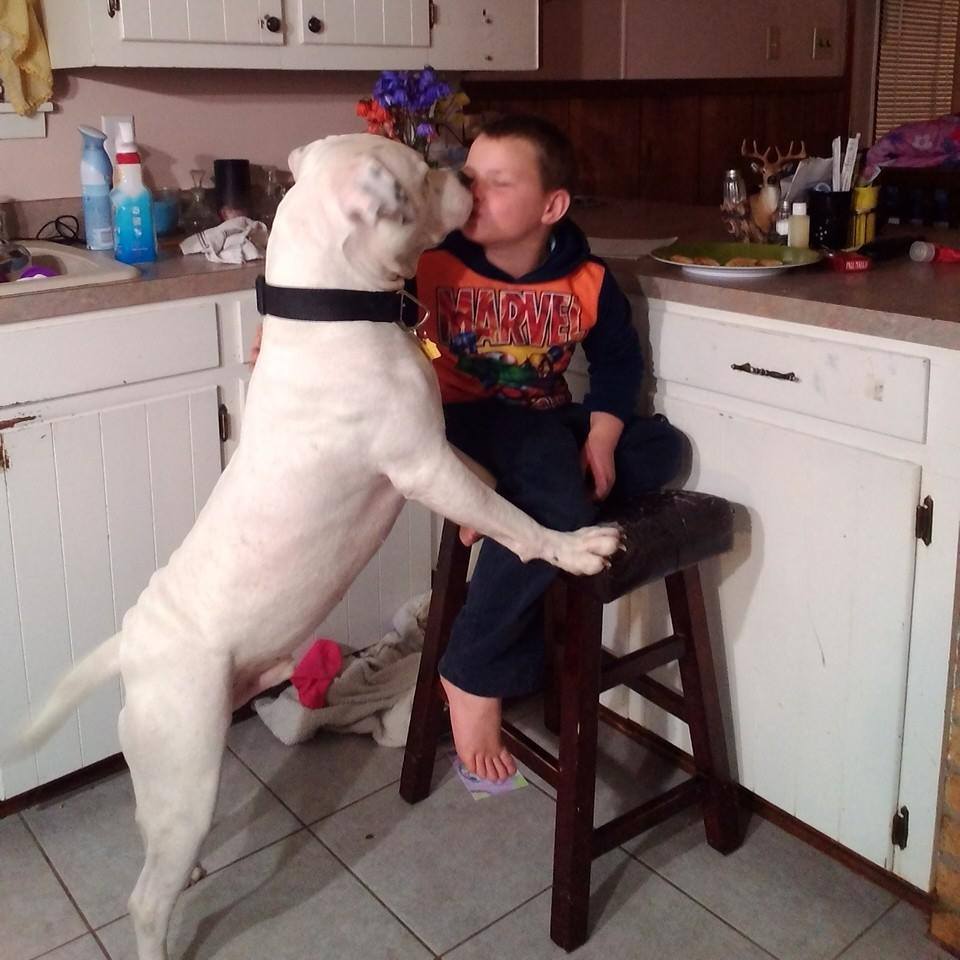 MoveOn's tweet image. Over 100k are standing together to #SaveZeus from "being disposed of" Will you? petitions.moveon.org/sign/save-zeus #AnimalRights