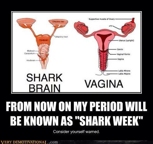 All the ppl bashing "shark week". This is supposedly where is came from - it's funny, not derogatory<a href="/tag/manyvids"class="tags"><span>#manyvids</span></a>