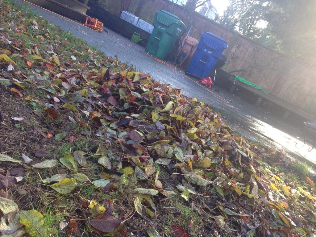 walkonyourhands's tweet photo. Anybody want to come play in the leaves?! #leafblower #fall #leaves #moderninventions http://t.co/yzGdiqZfc2
