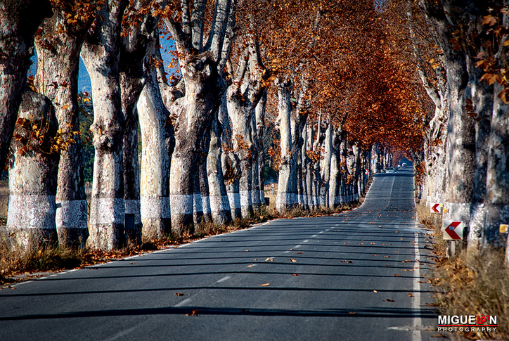 MeEncantaMurcia's tweet photo. La alameda de #Caravaca de la Cruz da la bienvenida a todos aquellos que deciden visitarla. Una bonita bienvenida. http://t.co/peNGN0RiQ1