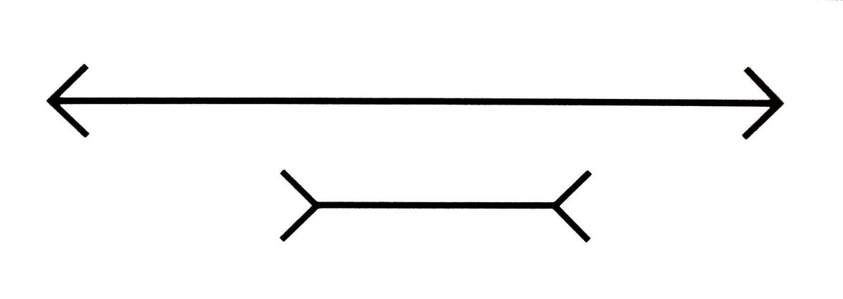 Fun optical illusion: Which line is longer?  Are you suuuuure?