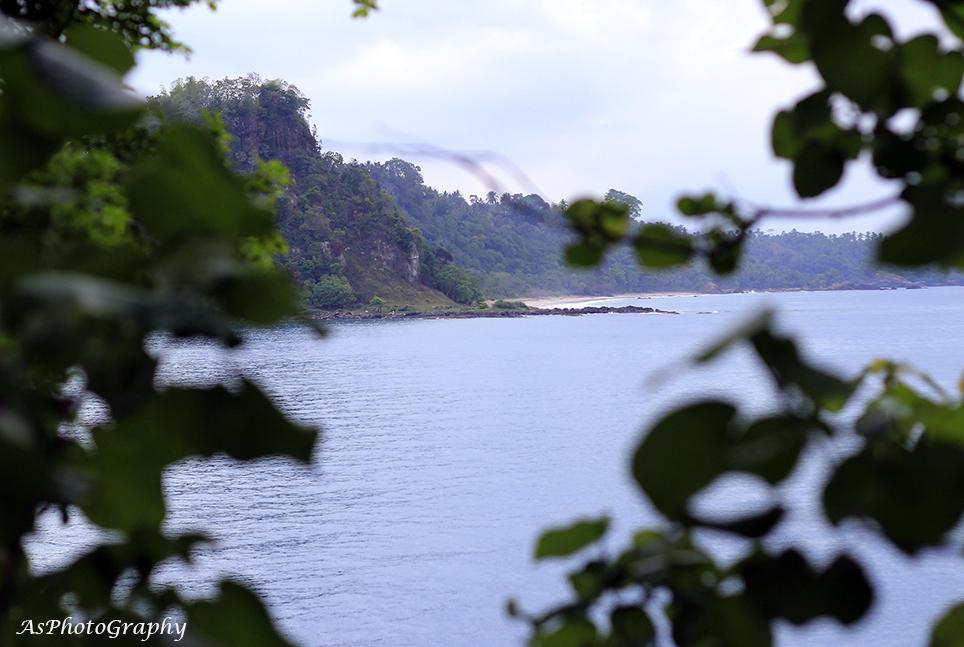 masandri94's tweet image. #AsPhotoGraphy #TelukNipah #LampungSelatan