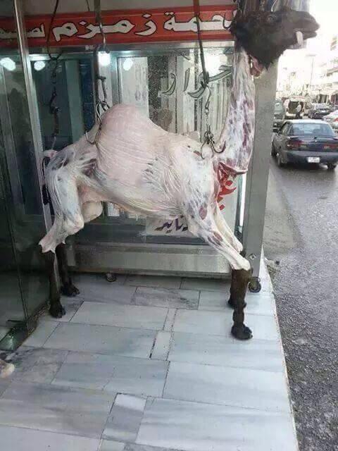 هالقعود ناقصه شداد ويكمل المنظر..