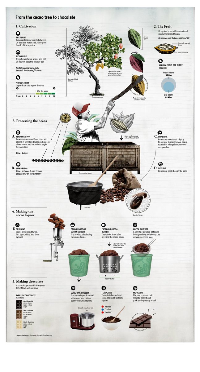 An amazing #infographic made by Vari Telleria. Thank you! #cacao #chocolate bit.ly/1vCAUsV
