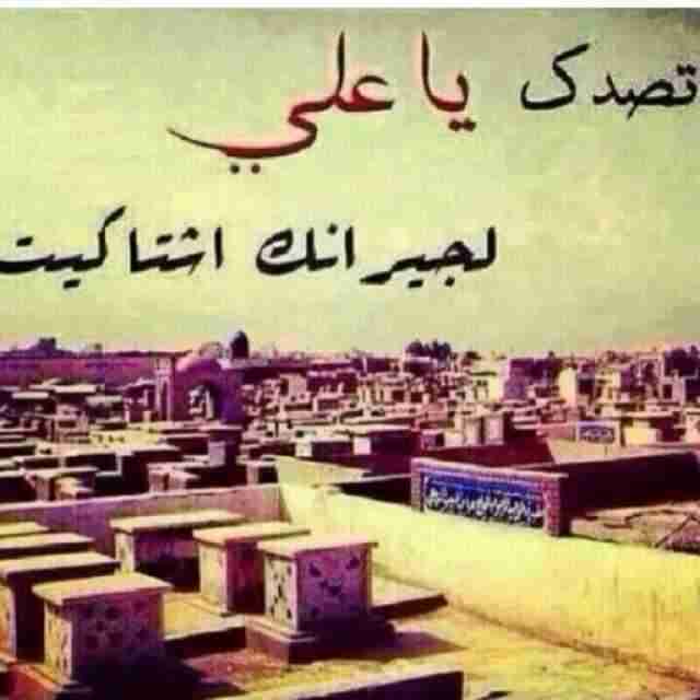 ▂▃▄▅▆▇█ℳ卍 ♥♠ رآُفُضـ tweet media