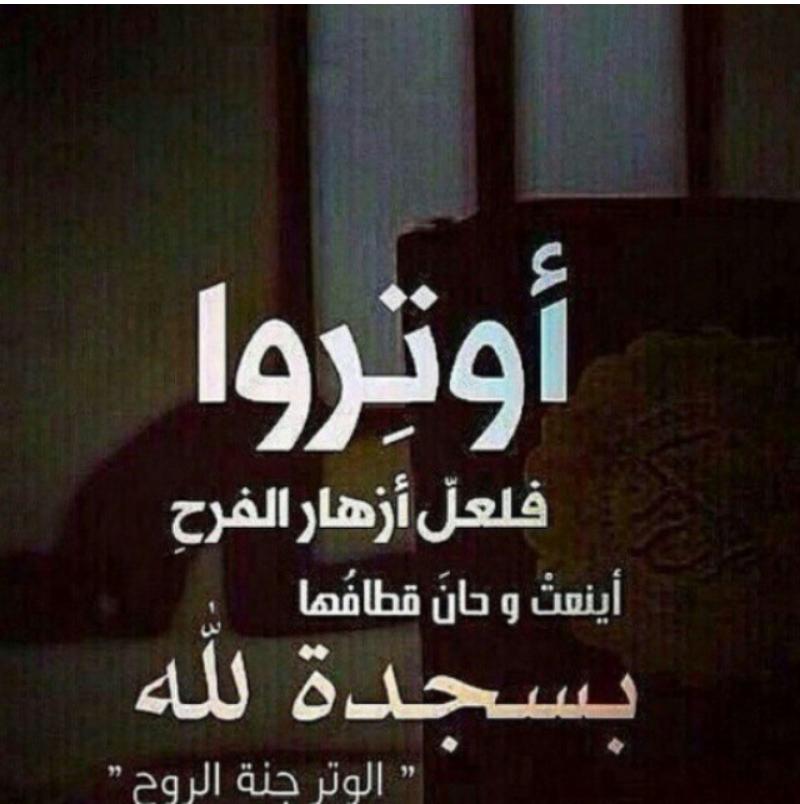 TDeda's tweet photo. http://t.co/RUgzkjHElN”