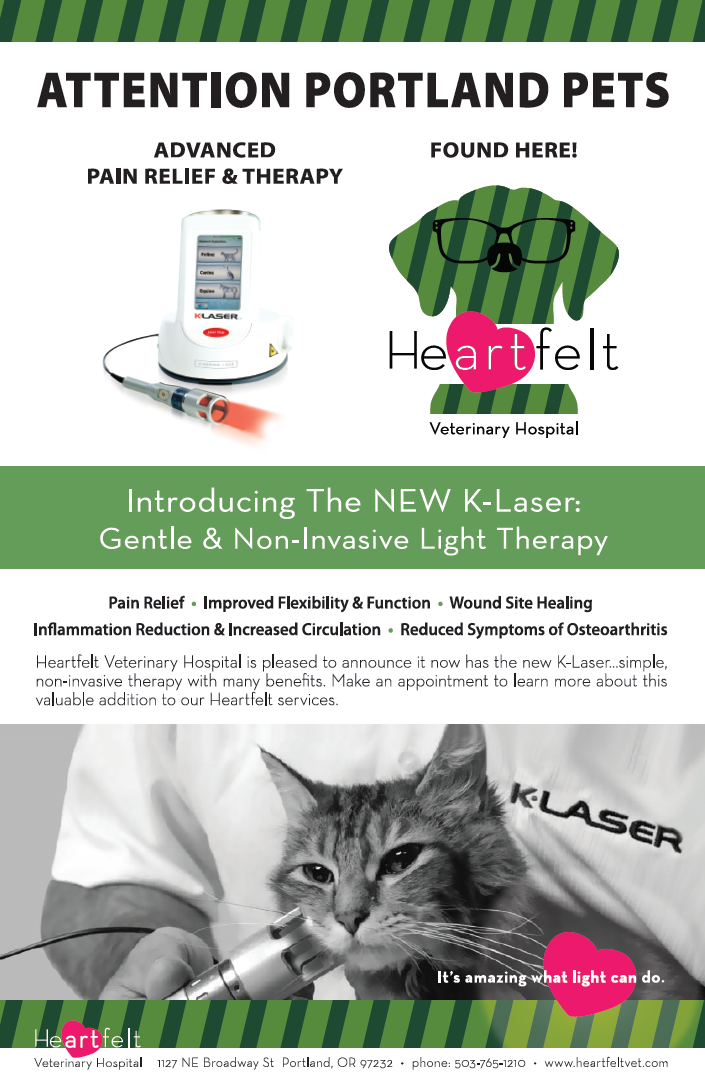 Call us today for your pets appointment, 503-765-1210