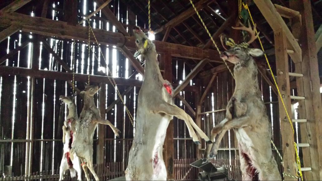 ClipperJDub's tweet photo. #deercamp2014 http://t.co/D47iFqG00X
