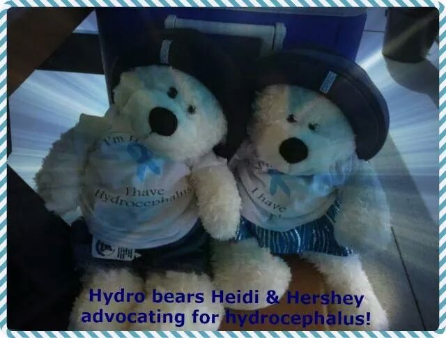 WI_PedHydroKids's tweet photo. @KidsHealth @NeuroscienceNew @AmerAcadPeds  Raising Awareness!  #hydro #shuntjourney #awareness #hydro education http://t.co/u7VRfH4diO