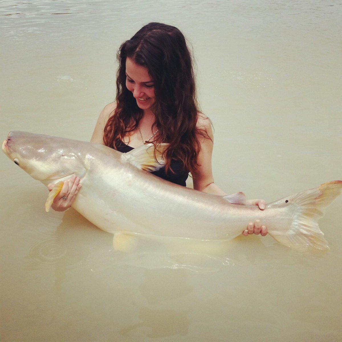 fishbrainapp's tweet photo. Catches of the Week! #Cohosalmon #US #Giantcatfish #Australia #Cod #Nordics #UK #fishingapp #Tightlines #royalfishing http://t.co/IElHlkHL1n