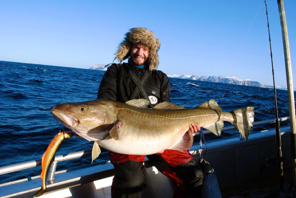 fishbrainapp's tweet photo. Catches of the Week! #Cohosalmon #US #Giantcatfish #Australia #Cod #Nordics #UK #fishingapp #Tightlines #royalfishing http://t.co/IElHlkHL1n