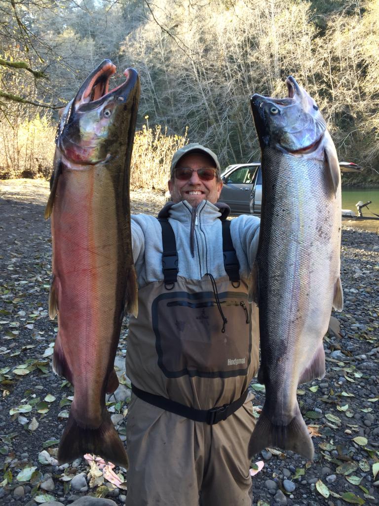 fishbrainapp's tweet photo. Catches of the Week! #Cohosalmon #US #Giantcatfish #Australia #Cod #Nordics #UK #fishingapp #Tightlines #royalfishing http://t.co/IElHlkHL1n