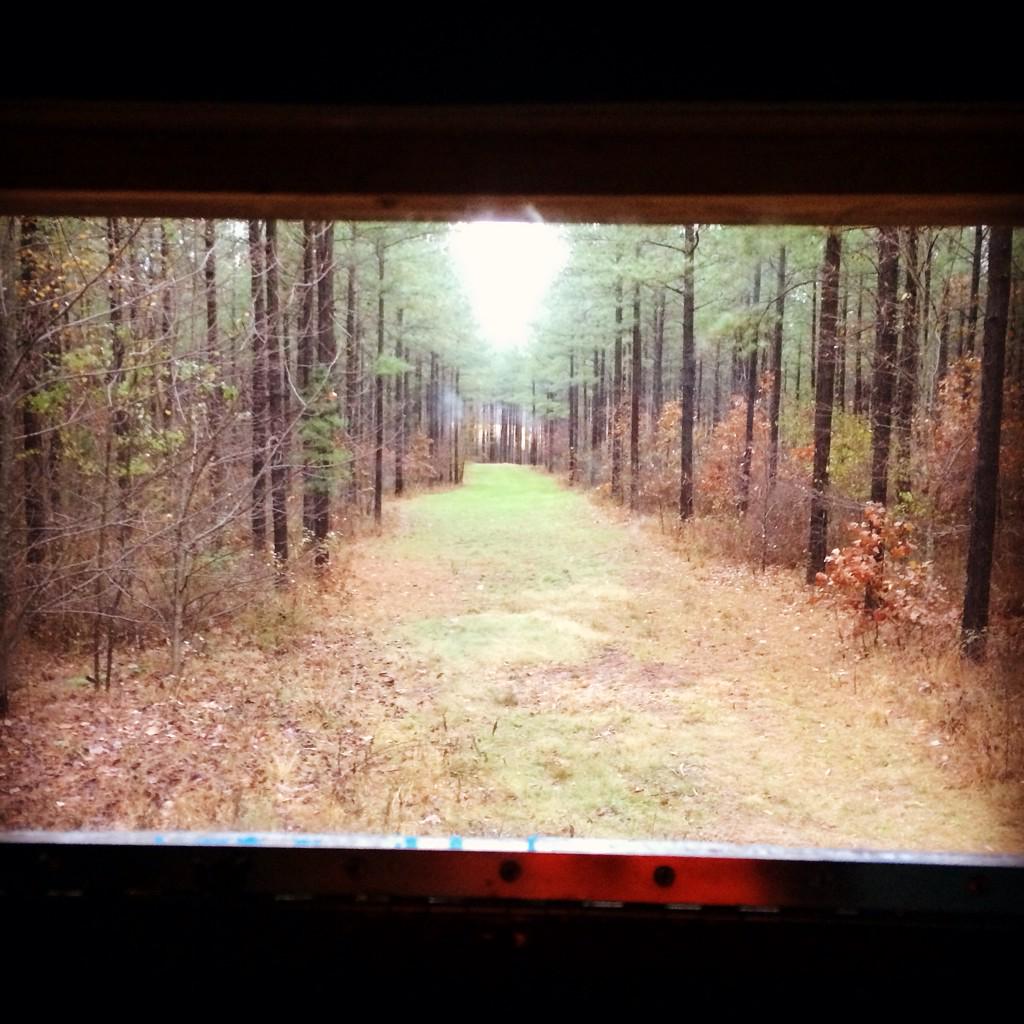 jstricklin32's tweet photo. Trying for a rainy day buck. @HA_Outdoors http://t.co/q2F58PeX10