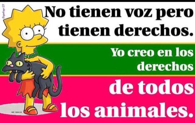 Y todo el que maltrate a un animal debe coger mínimo 20 años de cárcel #ManoDuraConLosAbusadores🐶🐱<a href="/SusanSoltero/">Susan Soltero</a>