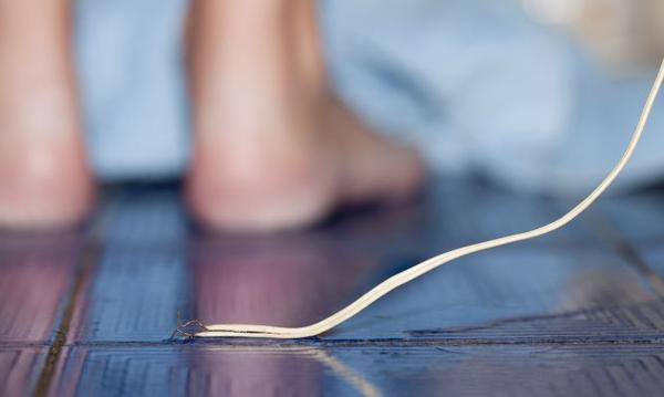 ABCHogar's tweet image. Nunca coloques cables bajo alfombras o tapetes, ya que se pueden deteriorar. #tips #seguridad #hogar