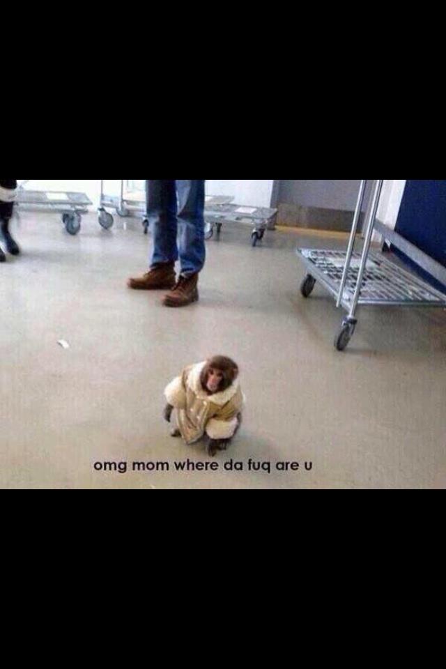 LaughMyA__Off's tweet photo. When you lose your mom at the store. http://t.co/mvTQutFxv0