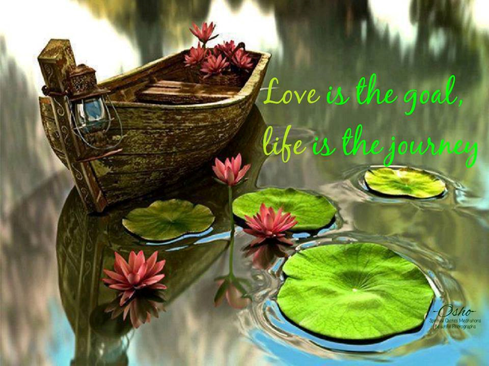 KariJoys tweet picture