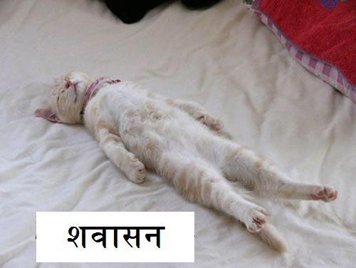 LOVE Shavasana before sleep!!!