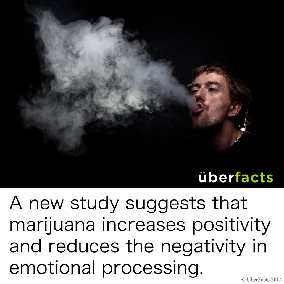 supportgayweed's tweet photo. http://t.co/HYCzQJREX9