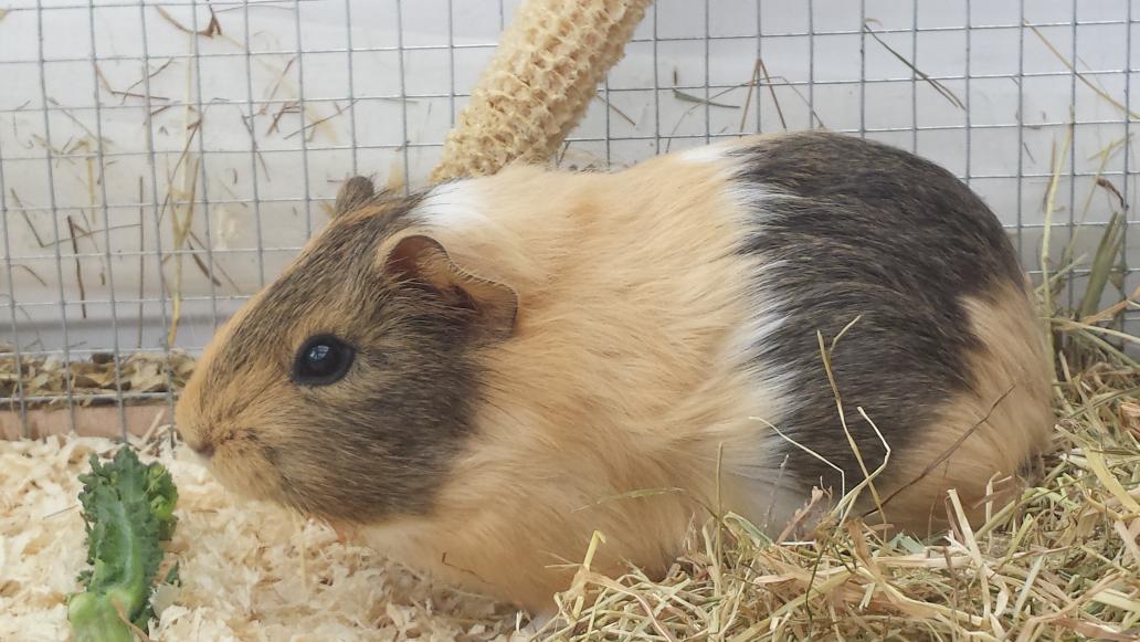 micrababe's tweet image. 