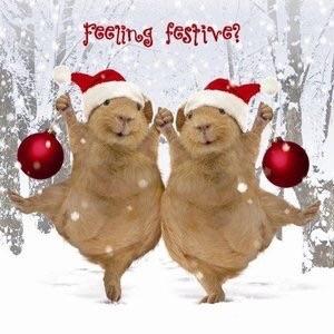 micrababe's tweet image. 