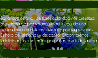 ¿Que Soñaste? tweet media