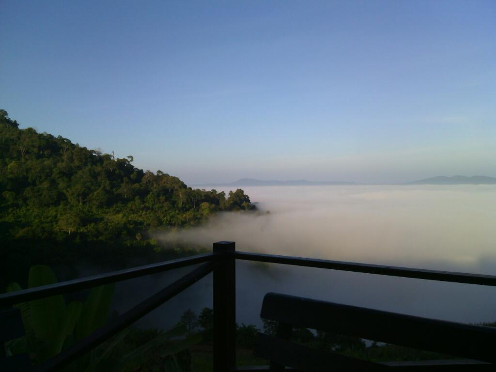 Chatchawan tweet media