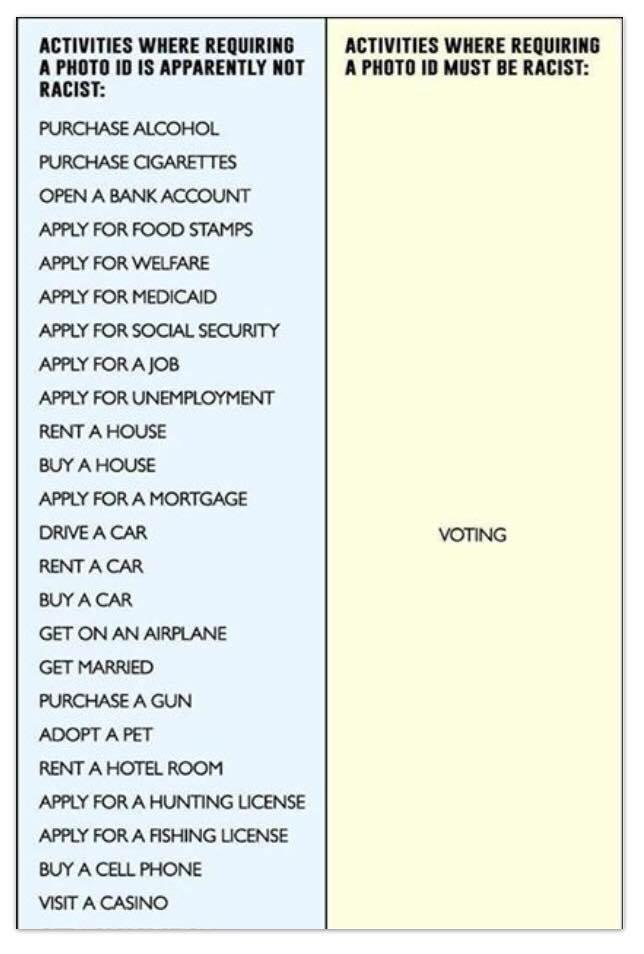 SOHGOP's tweet photo. Favorite and Retweet if you support #VoterID! http://t.co/ADwkilUzLr