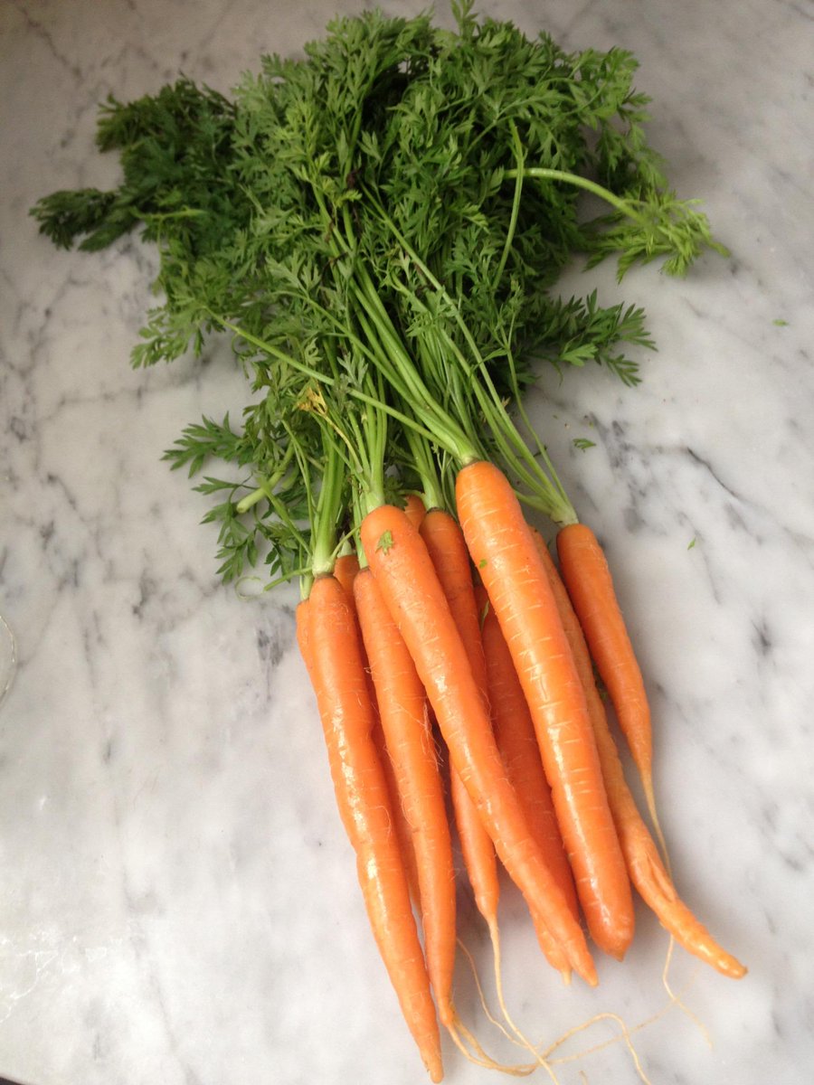 sheratonmoe's tweet image. Carrots are high in vitamin A, helps maintain the integrity of the skin &amp;amp; boosting the immune system #ColorYourPlate