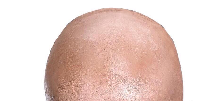 Starting_Pack's tweet photo. The "@pitbull" Starter Pack http://t.co/PBpgFTE8T6