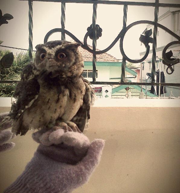 izzatulkhamidah's tweet photo. @titotiot_ Beneran mbaaak, dia loh jahat ninggalin aku :'( Ini foto terakhirnya kemarin pagiii.. http://t.co/f7Ie47be8S
