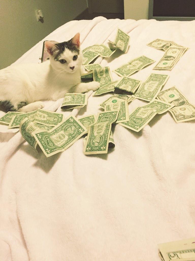 IvythekittyCat's tweet photo. mo money mo problems http://t.co/URfQNTezw4