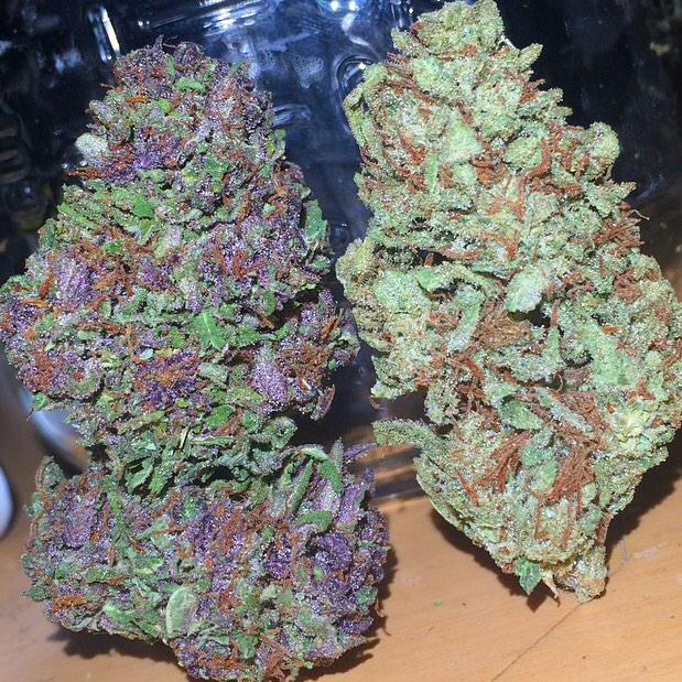 dailyloudpack's tweet image. Crazy Daily Loud Pack😍🔥💢 (GDP, &amp;amp; G36)